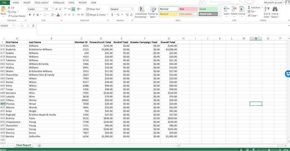 Senior Microsoft Excel Report Developer