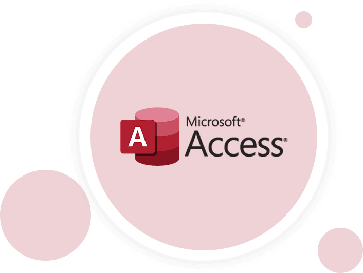 Custom Microsoft Access database application built by YittBox